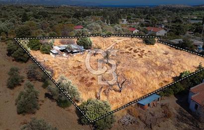 Datça Reşadiye'de İmar Sınırında 3.480 m² Bademlik