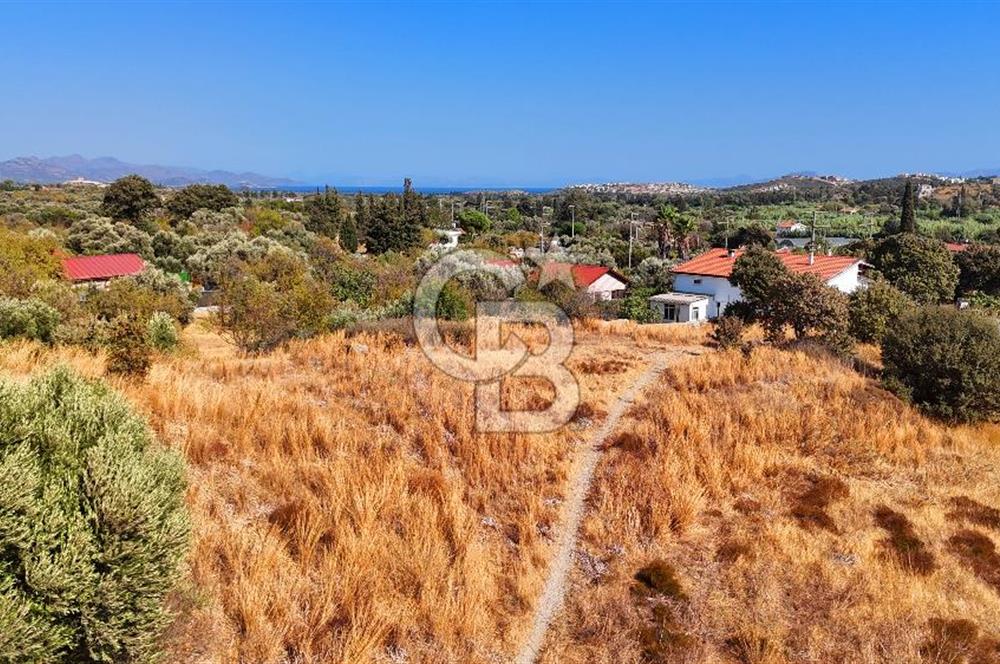 Datça Reşadiye'de İmar Sınırında 3.480 m² Bademlik
