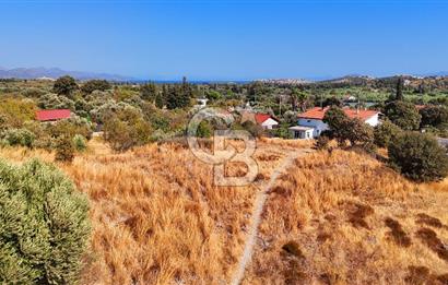 Datça Reşadiye'de İmar Sınırında 3.480 m² Bademlik