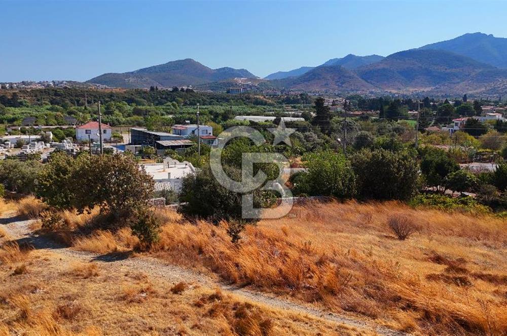 Datça Reşadiye'de İmar Sınırında 3.480 m² Bademlik