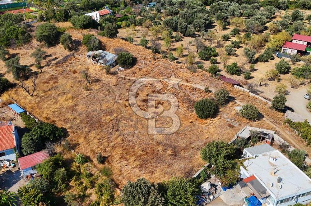 Datça Reşadiye'de İmar Sınırında 3.480 m² Bademlik