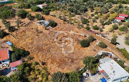 Datça Reşadiye'de İmar Sınırında 3.480 m² Bademlik