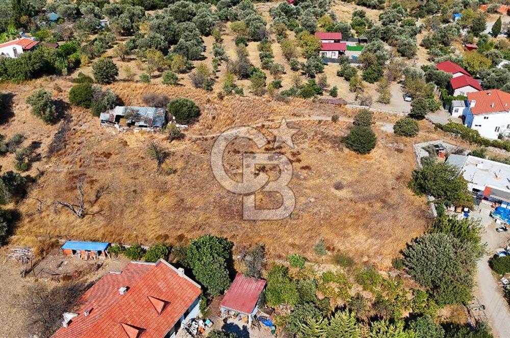 Datça Reşadiye'de İmar Sınırında 3.480 m² Bademlik