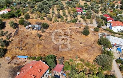 Datça Reşadiye'de İmar Sınırında 3.480 m² Bademlik