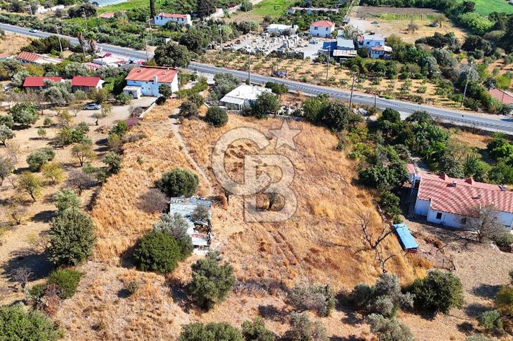 Datça Reşadiye'de İmar Sınırında 3.480 m² Bademlik
