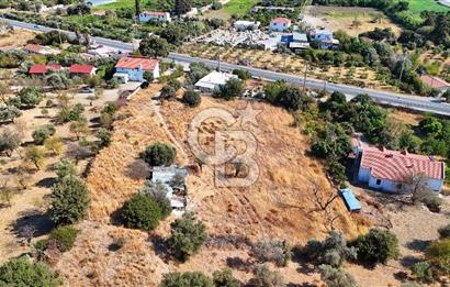 Datça Reşadiye'de İmar Sınırında 3.480 m² Bademlik