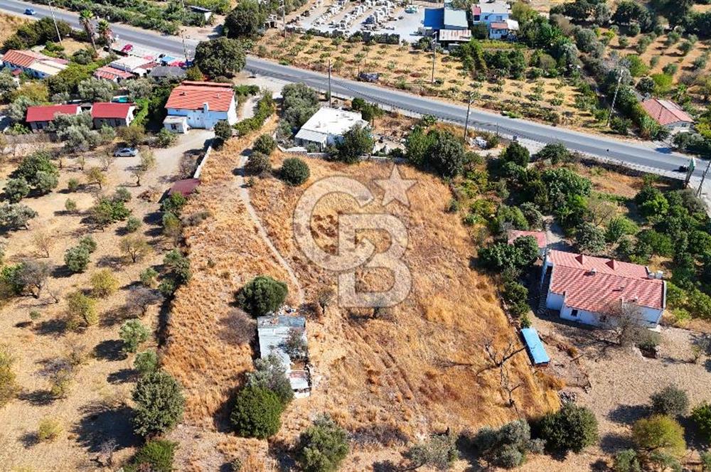 Datça Reşadiye'de İmar Sınırında 3.480 m² Bademlik