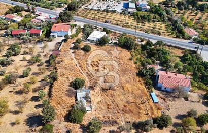 Datça Reşadiye'de İmar Sınırında 3.480 m² Bademlik