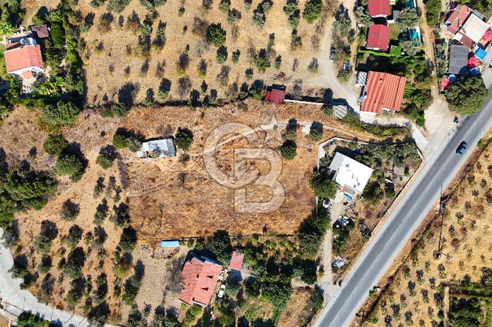Datça Reşadiye'de İmar Sınırında 3.480 m² Bademlik