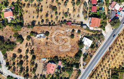 Datça Reşadiye'de İmar Sınırında 3.480 m² Bademlik