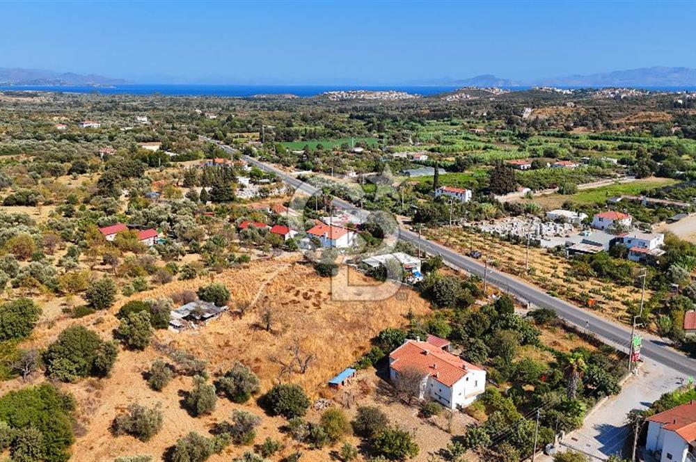Datça Reşadiye'de İmar Sınırında 3.480 m² Bademlik