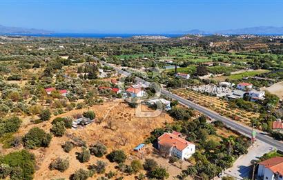 Datça Reşadiye'de İmar Sınırında 3.480 m² Bademlik