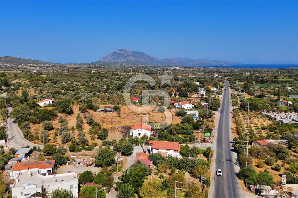 Datça Reşadiye'de İmar Sınırında 3.480 m² Bademlik