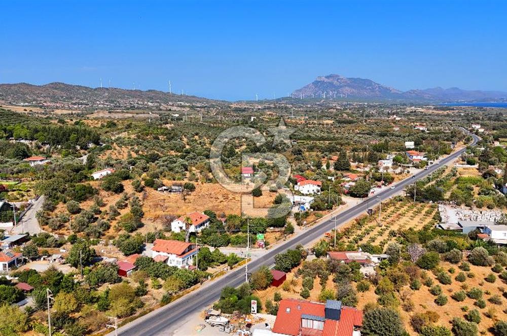 Datça Reşadiye'de İmar Sınırında 3.480 m² Bademlik