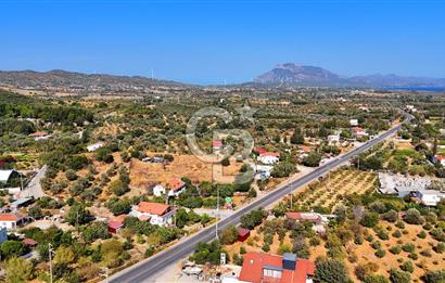 Datça Reşadiye'de İmar Sınırında 3.480 m² Bademlik