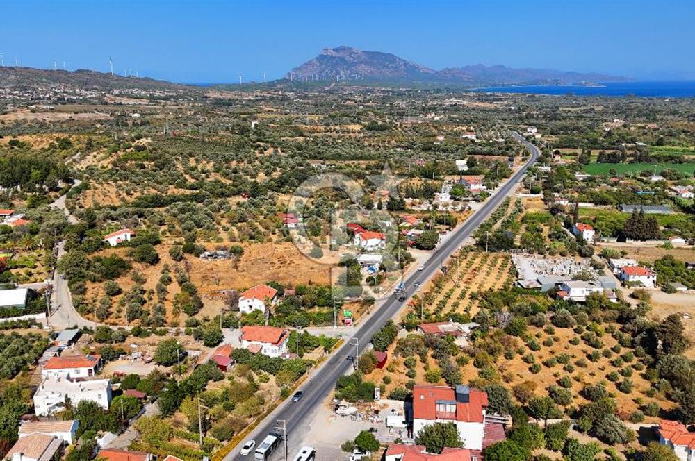 Datça Reşadiye'de İmar Sınırında 3.480 m² Bademlik