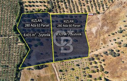 Datça'da Yatırımlık Satılık 17.365 m² Zeytinlik