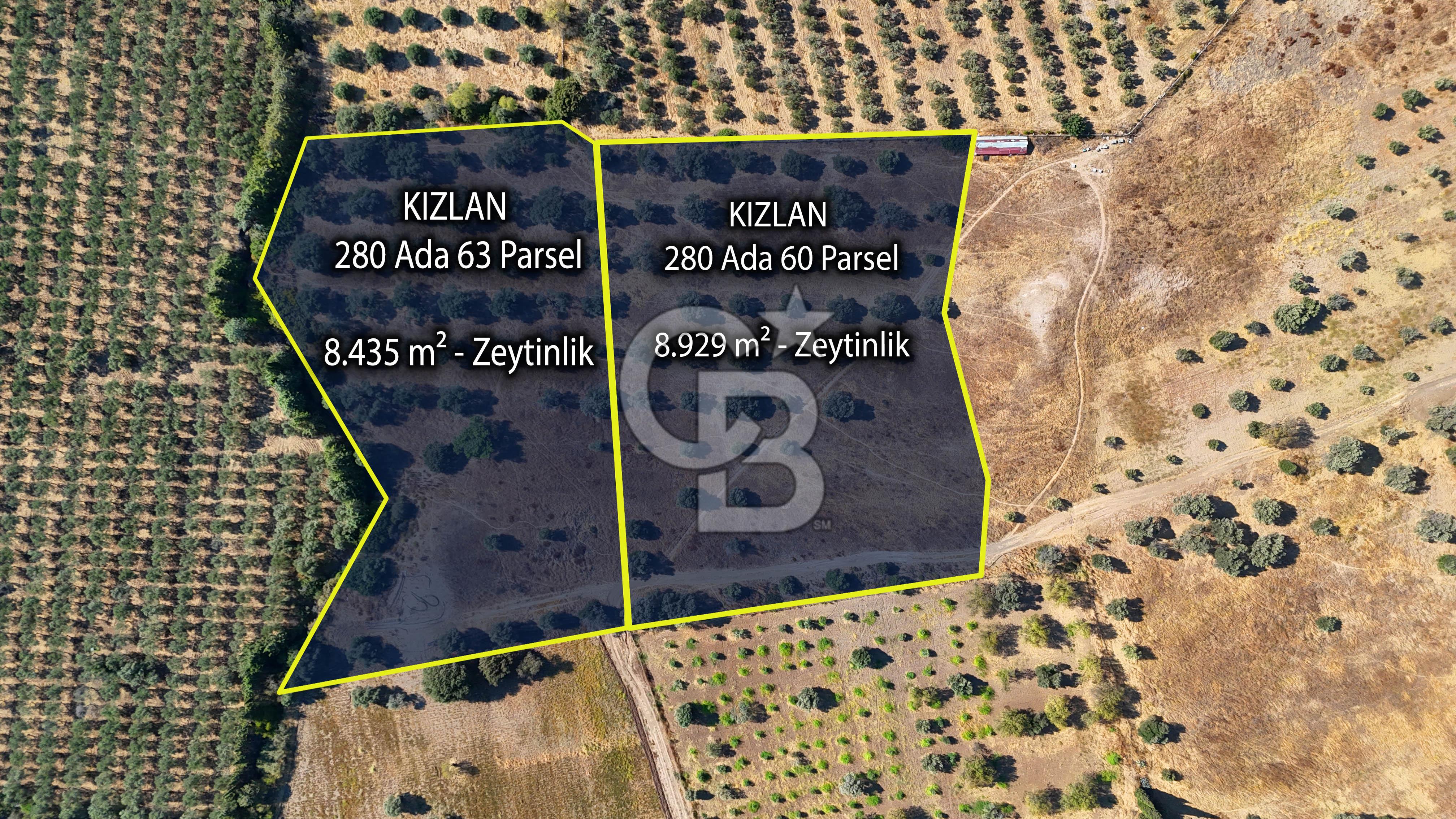 Datça'da Yatırımlık Satılık 17.365 m² Zeytinlik
