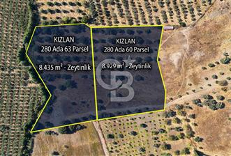 Datça'da Yatırımlık Satılık 17.365 m² Zeytinlik - 3 - 371545