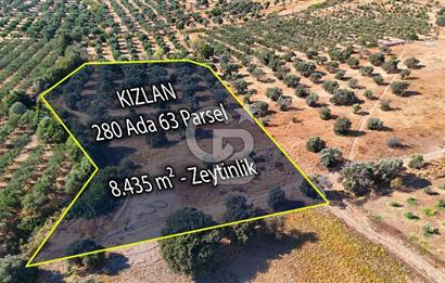 Datça'da Yatırımlık Satılık 17.365 m² Zeytinlik