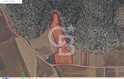 KIZILKAYA DA SATILIK 8780 m2 ARAZİ