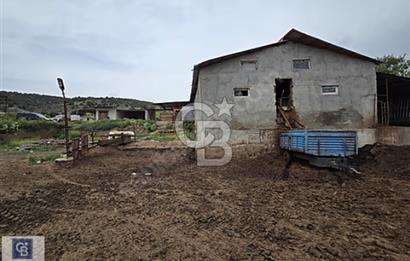 ELMADAĞ KUŞÇUALİ SATILIK ÇİFTLİK AHIR