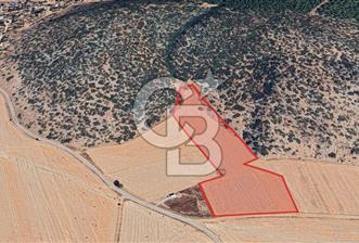 KIZILKAYA DA SATILIK 8780 m2 ARAZİ - 1 - 371558