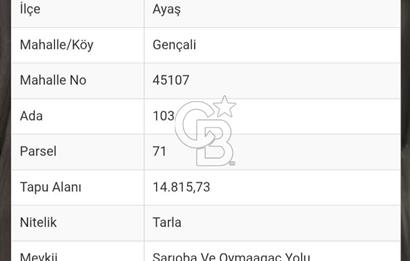 **ANKARA AYAŞ GENÇALİ’DE SULU TARIMA UYGUN 63.000 M² TARIM ARAZİSİ**
