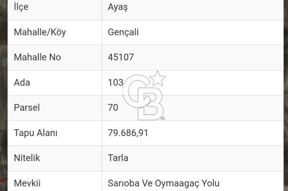 **ANKARA AYAŞ GENÇALİ’DE SULU TARIMA UYGUN 63.000 M² TARIM ARAZİSİ**