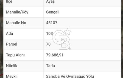 **ANKARA AYAŞ GENÇALİ’DE SULU TARIMA UYGUN 63.000 M² TARIM ARAZİSİ**