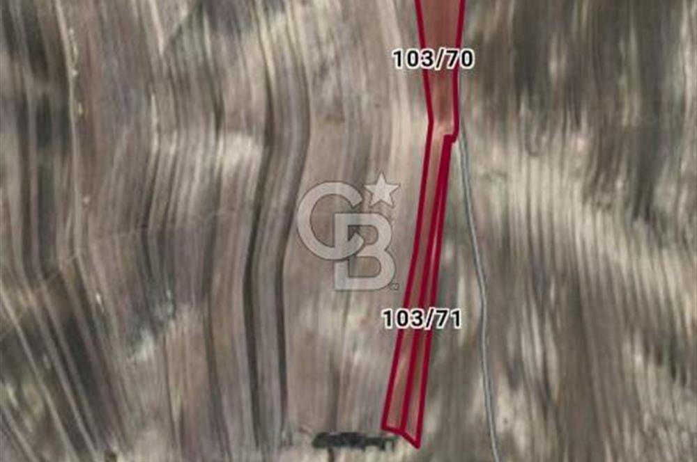 **ANKARA AYAŞ GENÇALİ’DE SULU TARIMA UYGUN 63.000 M² TARIM ARAZİSİ**