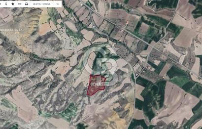 KAZAN SARILAR'DA 17.737 M² TEK TAPU KÖK TAPU SATILIK TARLA!