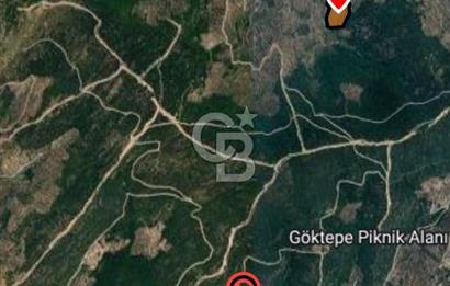 MİLAS KEMİKLERDE TEK PARSEL 20.262,34M2 ZEYTİNLİK