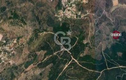 MİLAS KEMİKLERDE TEK PARSEL 20.262,34M2 ZEYTİNLİK