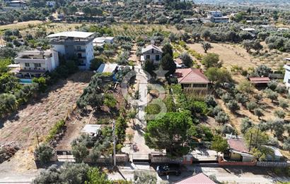 Buca Kaynaklar Merkez 2439 m2 Tek Tapu Resmi Evi Olan Satılık Zeytinli Bağ