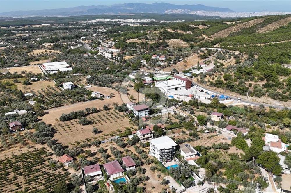 Buca Kaynaklar Merkez 2439 m2 Tek Tapu Resmi Evi Olan Satılık Zeytinli Bağ