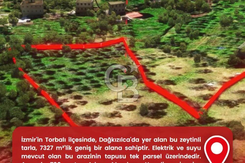 İzmir Torbalı Dağkızılca 7328 m2 Tek Tapu Satılık Tarla