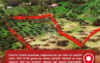İzmir Torbalı Dağkızılca 7328 m2 Tek Tapu Satılık Tarla