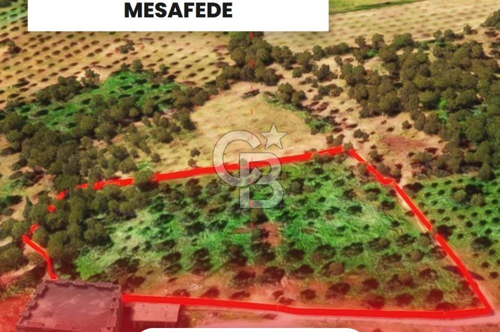 İzmir Torbalı Dağkızılca 9070 m2 Tek Tapu Tarla