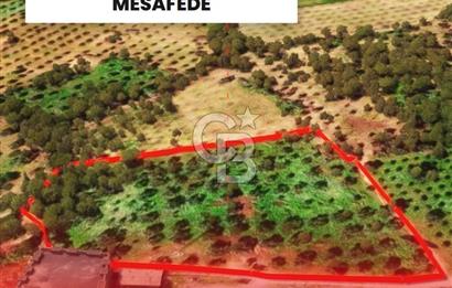 İzmir Torbalı Dağkızılca 9070 m2 Tek Tapu Tarla