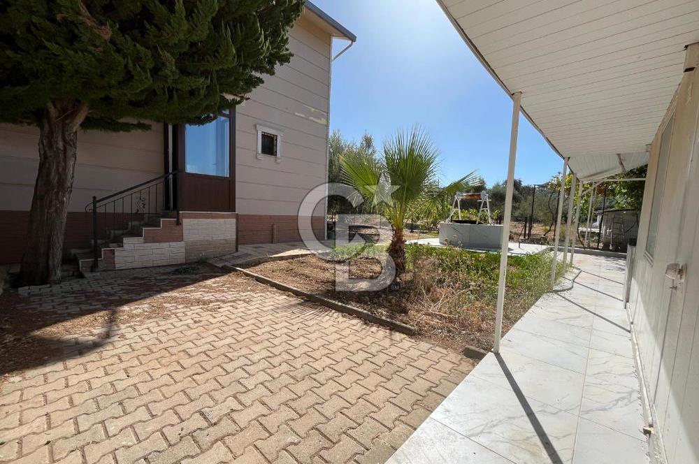 Buca Kaynaklar Merkez 2439 m2 Tek Tapu Resmi Evi Olan Satılık Zeytinli Bağ