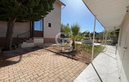 Buca Kaynaklar Merkez 2439 m2 Tek Tapu Resmi Evi Olan Satılık Zeytinli Bağ