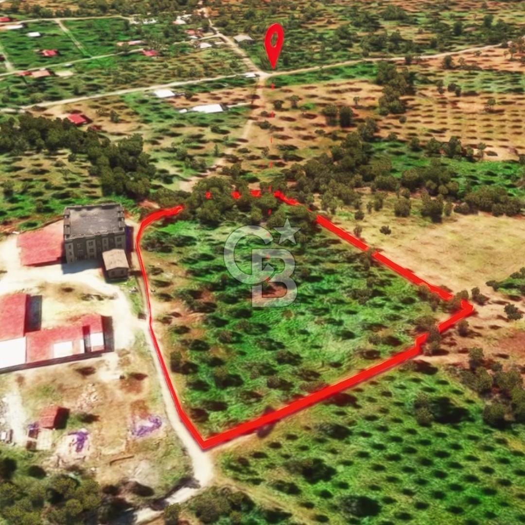 İzmir Torbalı Dağkızılca 9070 m2 Tek Tapu Tarla