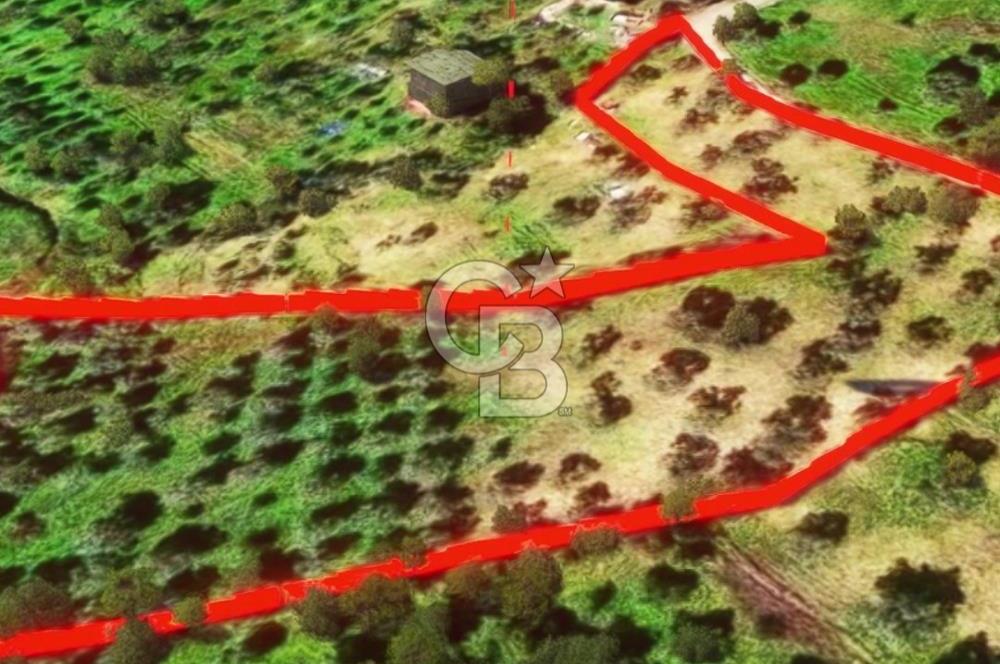 İzmir Torbalı Dağkızılca 7328 m2 Tek Tapu Satılık Tarla