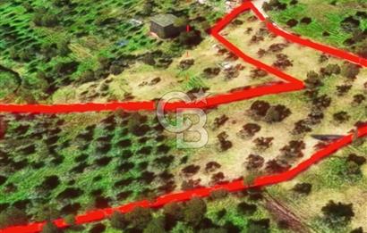 İzmir Torbalı Dağkızılca 7328 m2 Tek Tapu Satılık Tarla