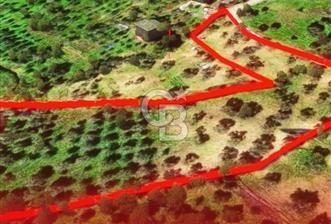 İzmir Torbalı Dağkızılca 7328 m2 Tek Tapu Satılık Tarla - 1 - 371726