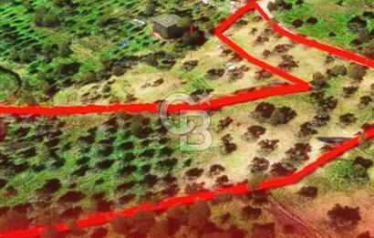 İzmir Torbalı Dağkızılca 7328 m2 Tek Tapu Satılık Tarla