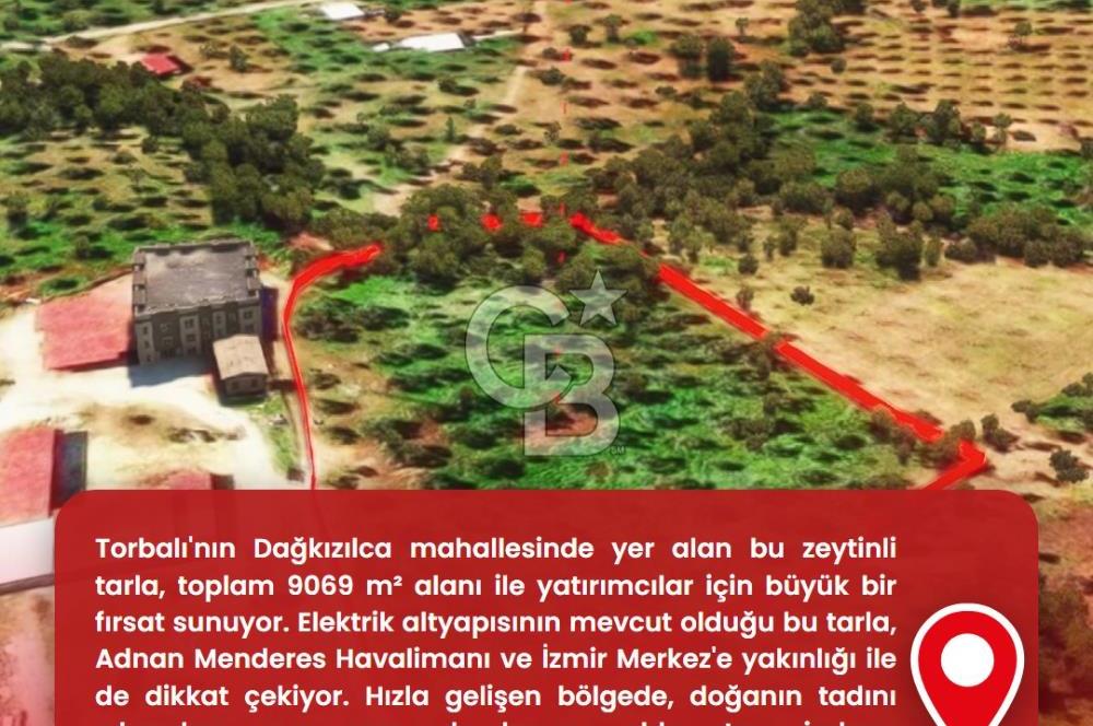 İzmir Torbalı Dağkızılca 9070 m2 Tek Tapu Tarla