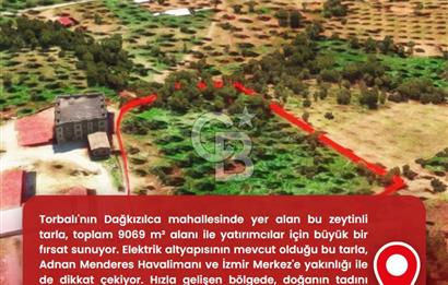 İzmir Torbalı Dağkızılca 9070 m2 Tek Tapu Tarla