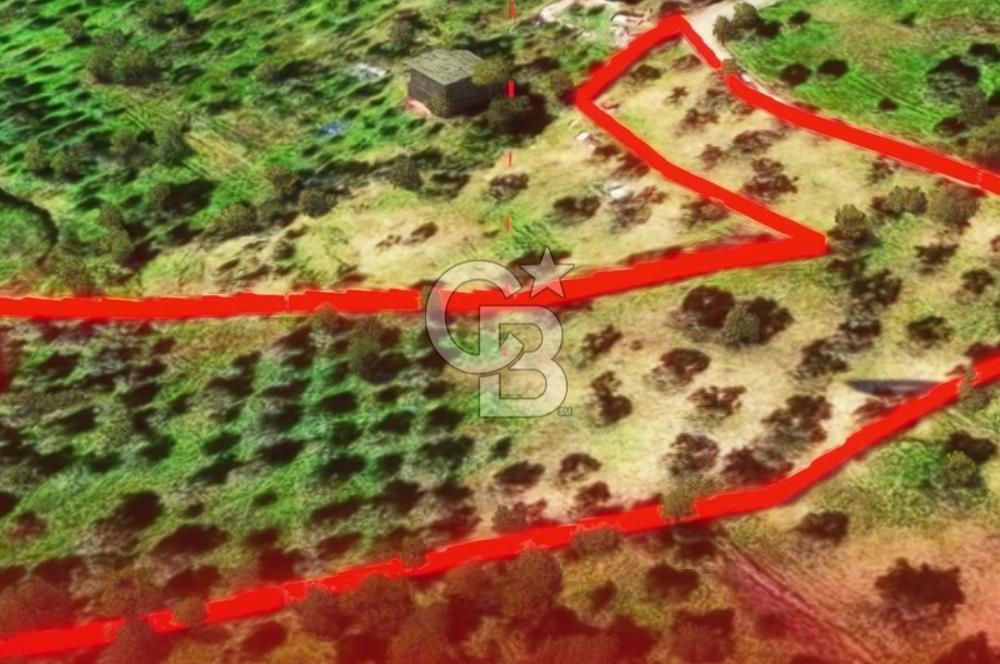 İzmir Torbalı Dağkızılca 7328 m2 Tek Tapu Satılık Tarla